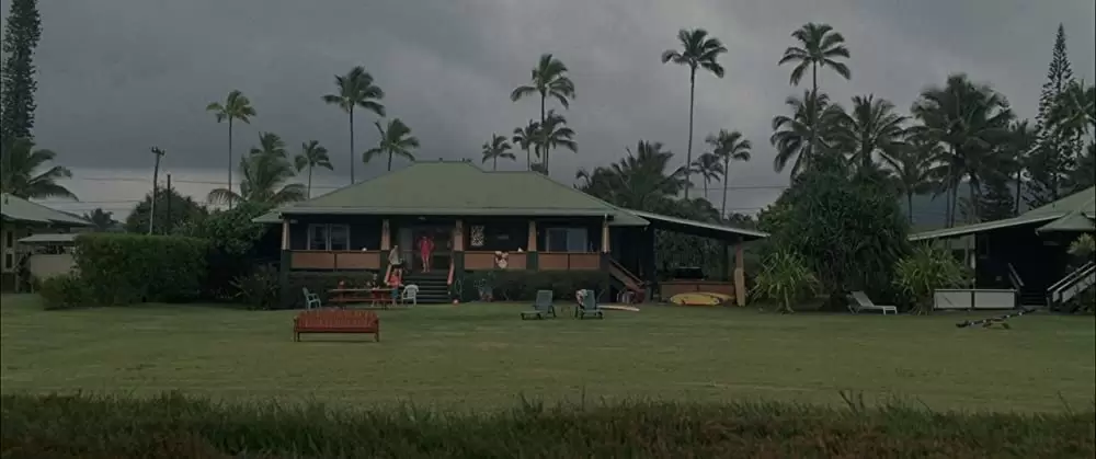 ファミリー・ツリーの画像