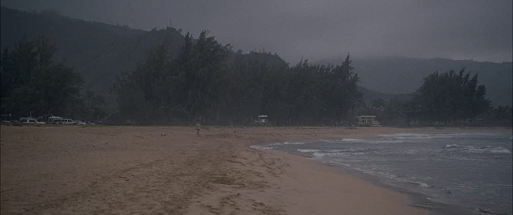 ファミリー・ツリーの画像