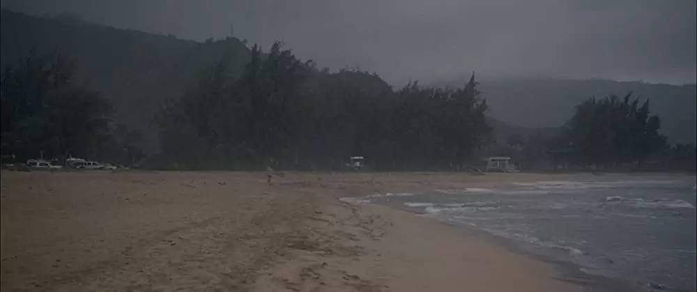 ファミリー・ツリーの画像