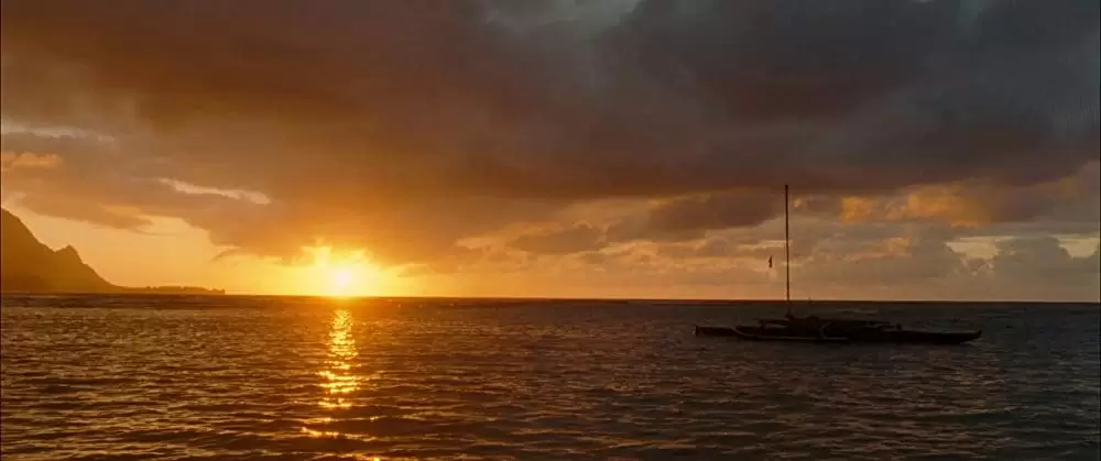 ファミリー・ツリーの画像