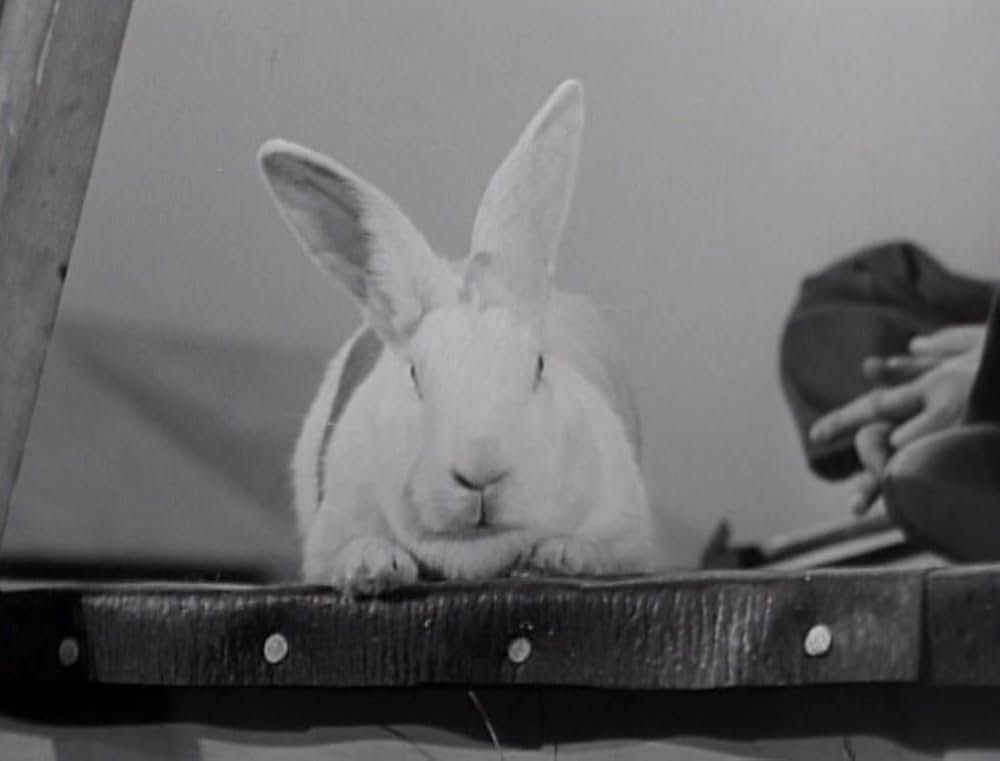 Room for One More（原題）の画像