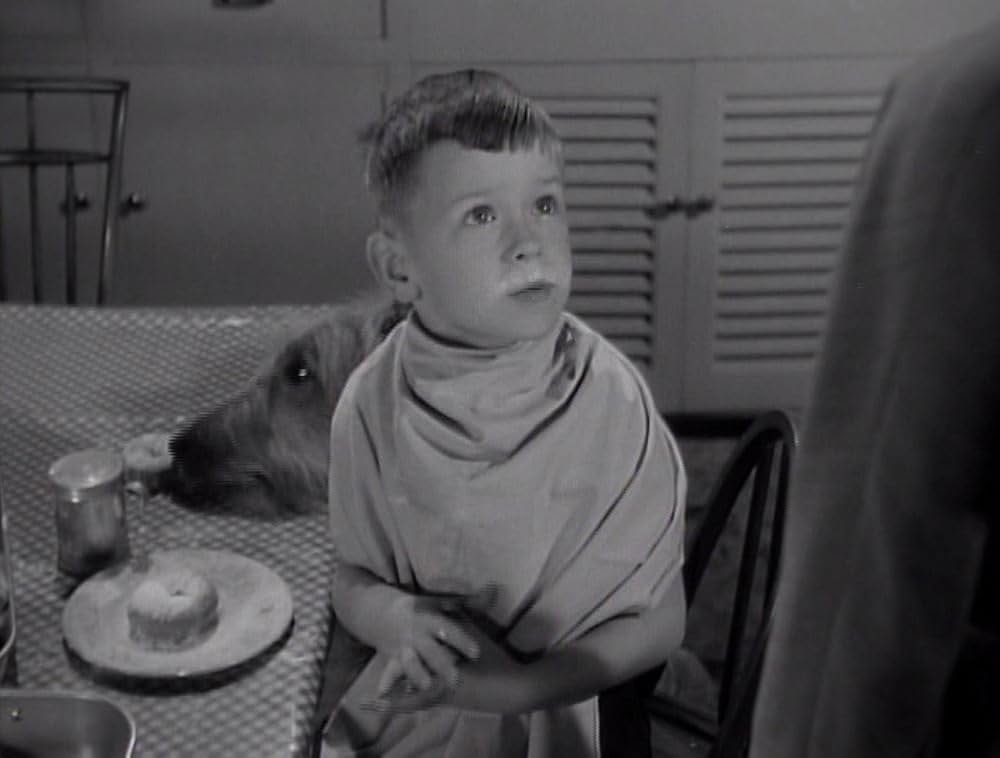 Room for One More（原題）の画像