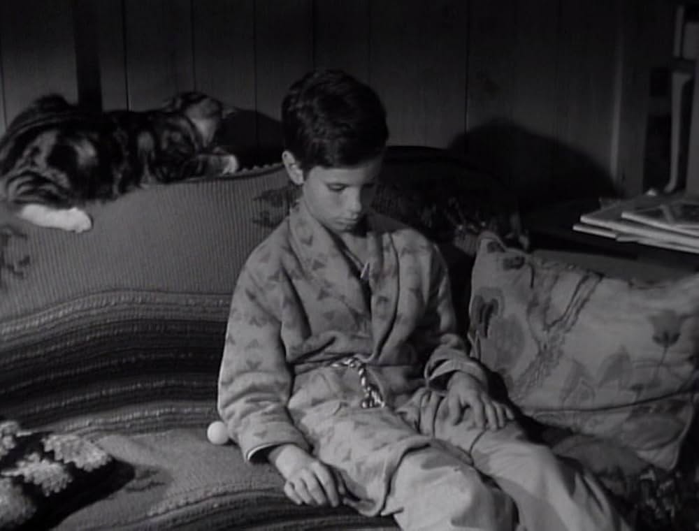 Room for One More（原題）の画像