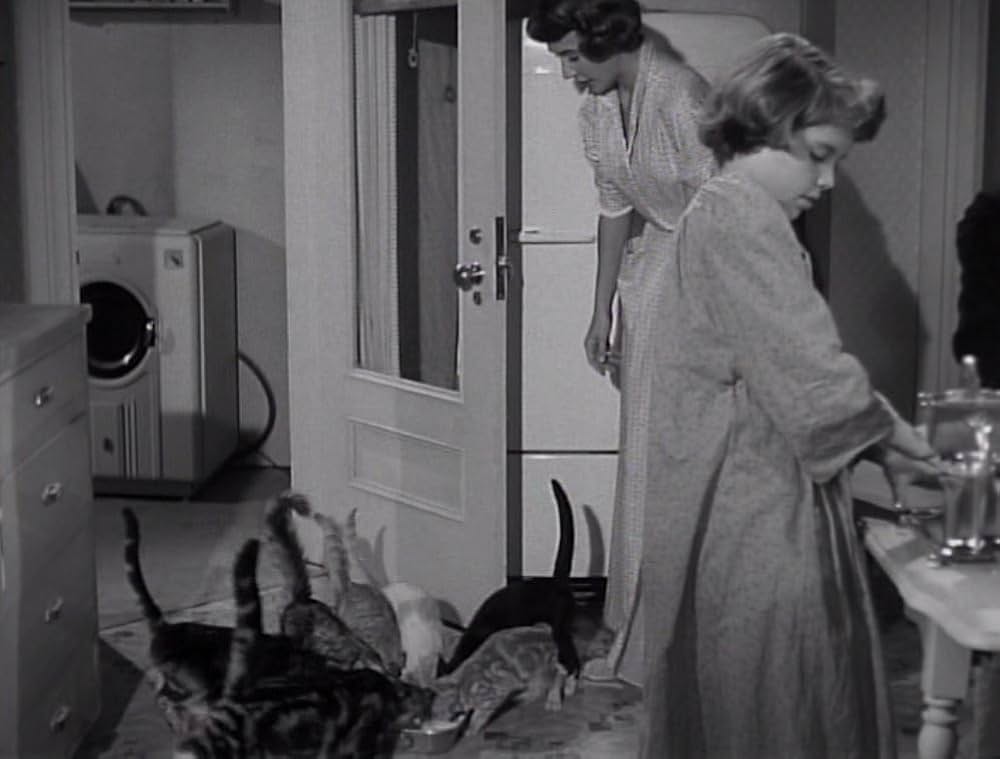 Room for One More（原題）の画像