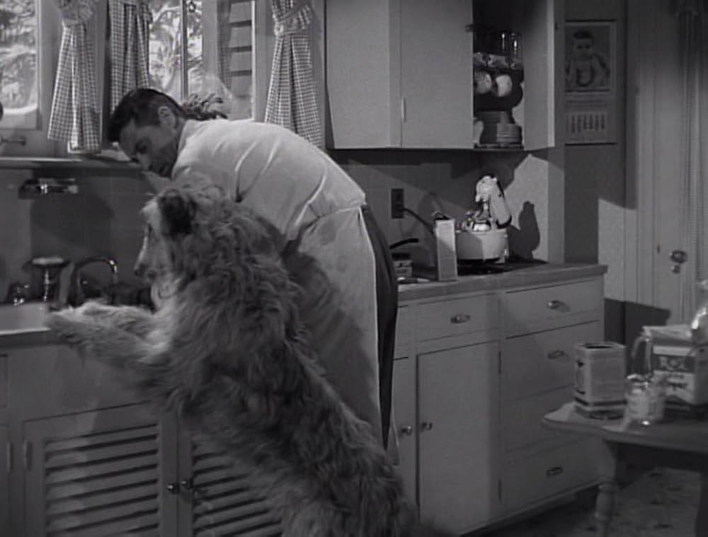 Room for One More（原題）の画像