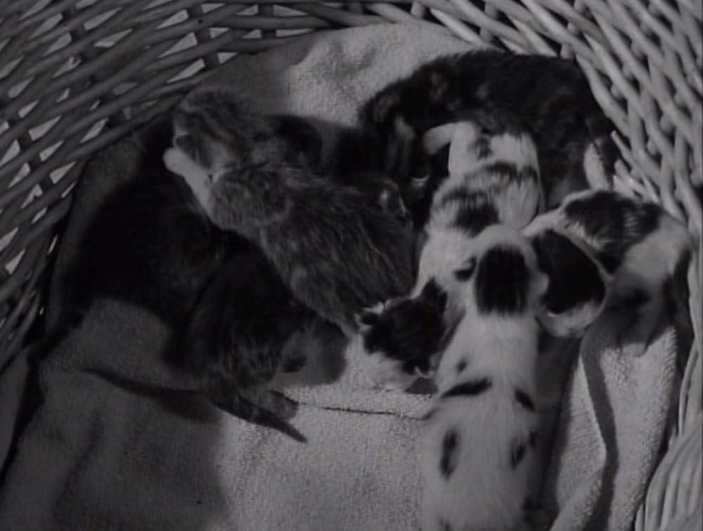 Room for One More（原題）の画像