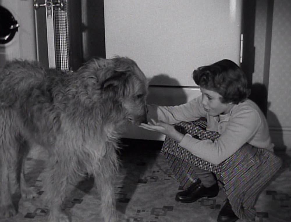 Room for One More（原題）の画像