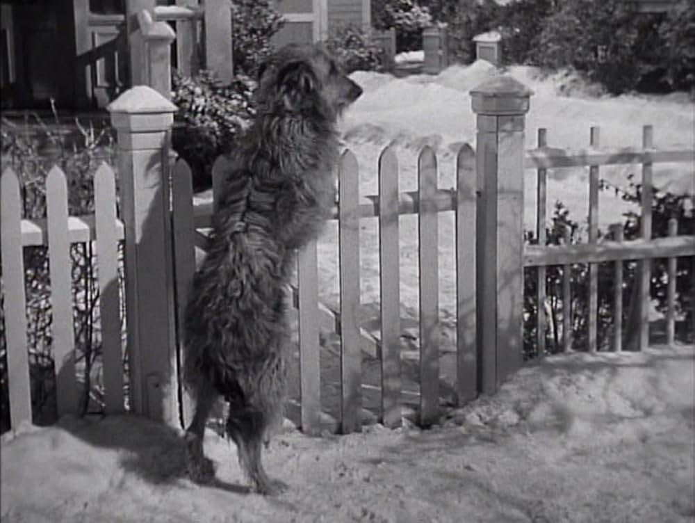 Room for One More（原題）の画像