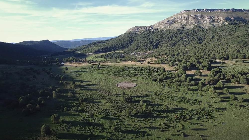 サッドヒルを掘り返せの画像