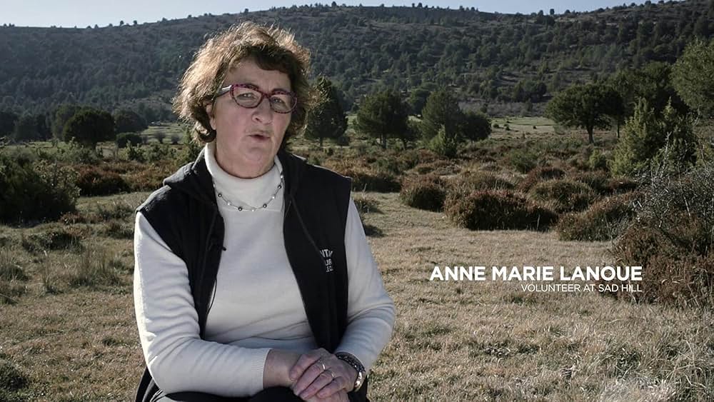 サッドヒルを掘り返せの画像