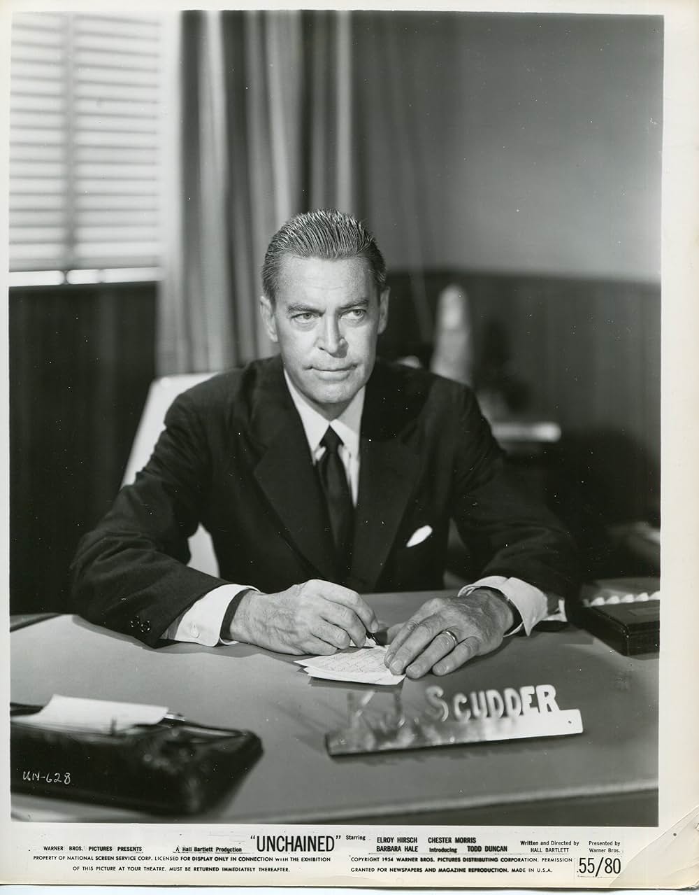 アンチェインド（原題）の画像