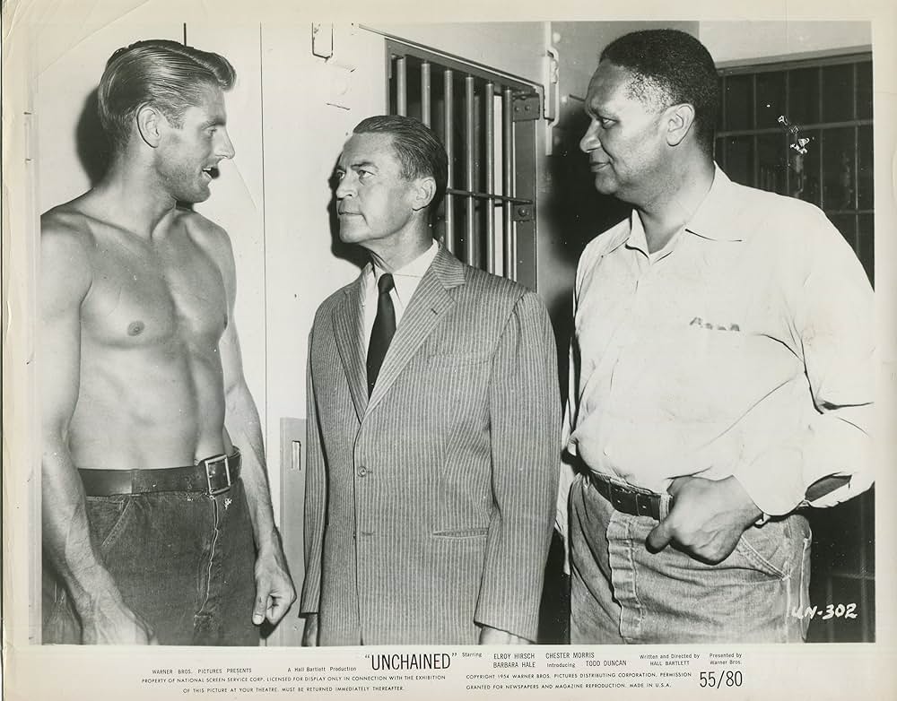 アンチェインド（原題）の画像