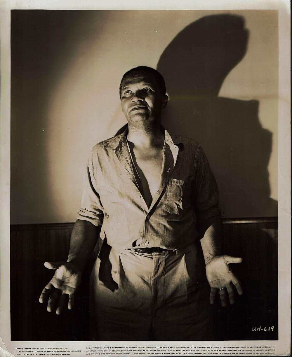 アンチェインド（原題）の画像