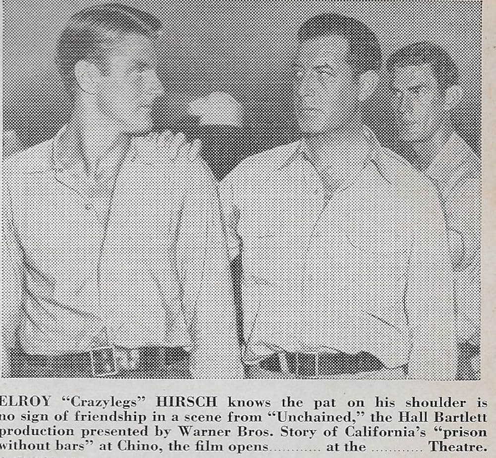 アンチェインド（原題）の写真