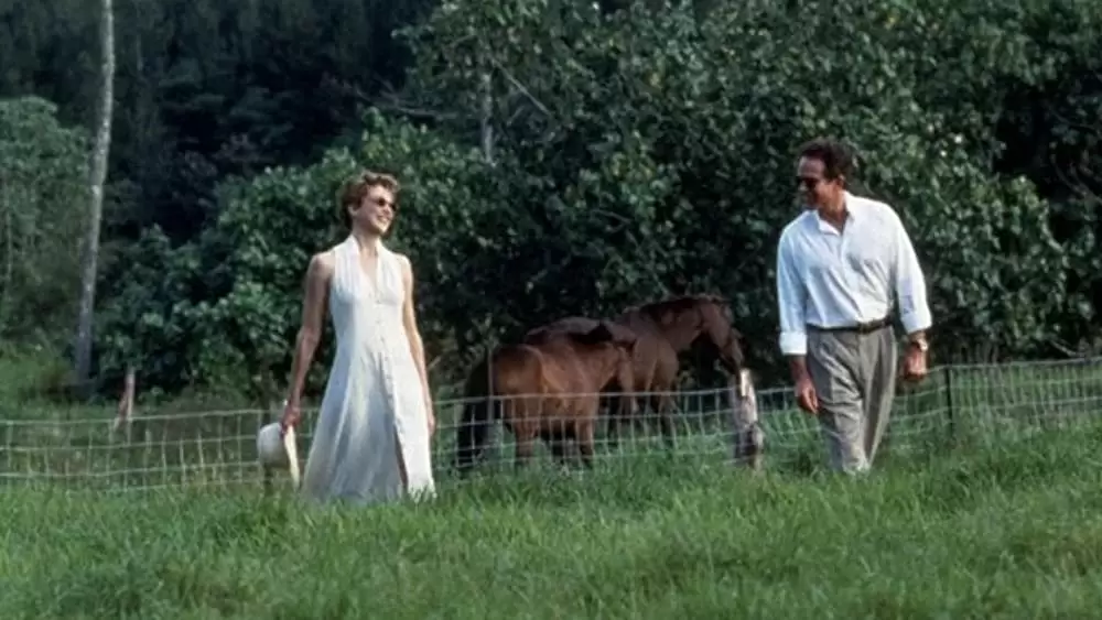 めぐり逢いの画像