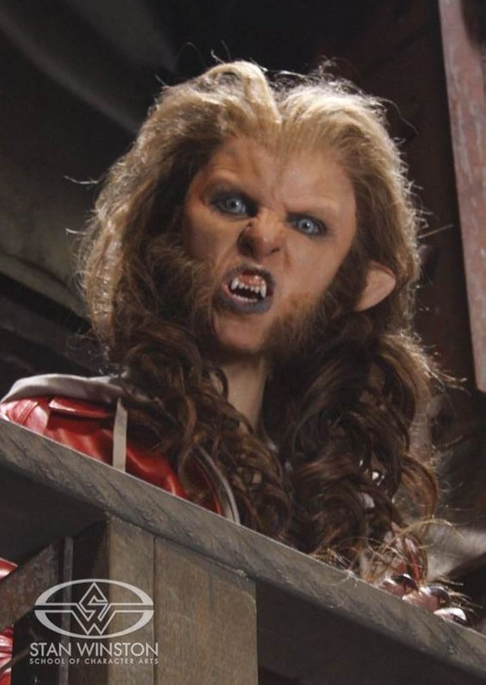 The Boy Who Cried Werewolf（原題）の画像