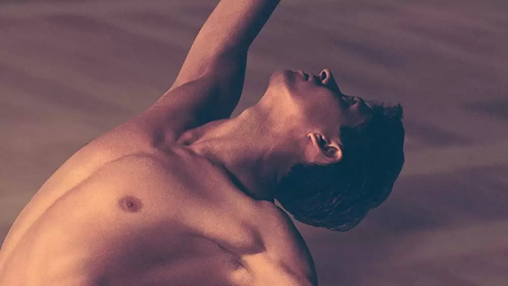 ホワイト・クロウ 伝説のダンサーの画像