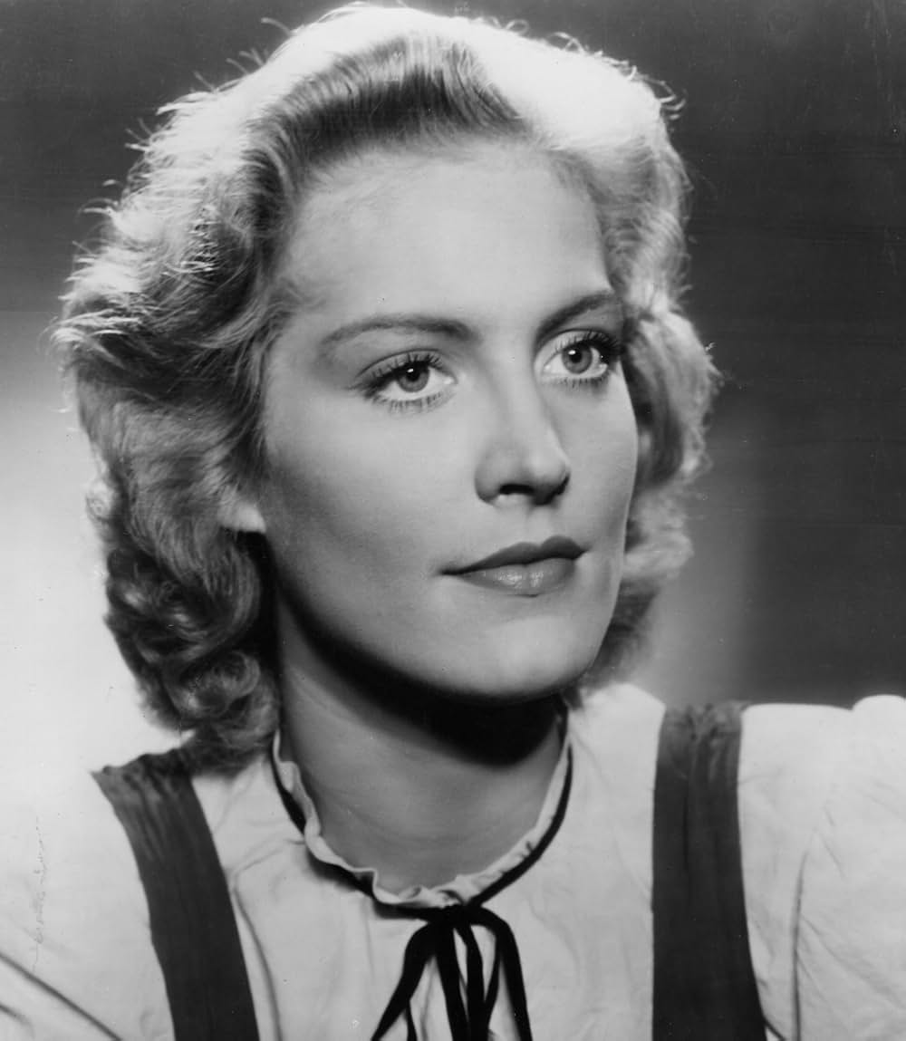 Gesprengte Gitter（原題）の写真