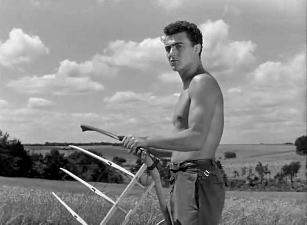 Les enfants de l'amour（原題）の画像