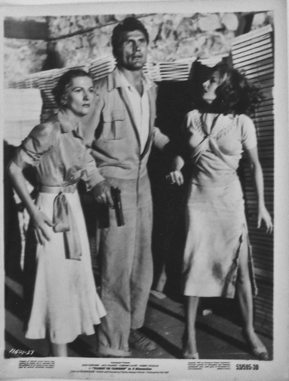 熱砂の大脱走の画像