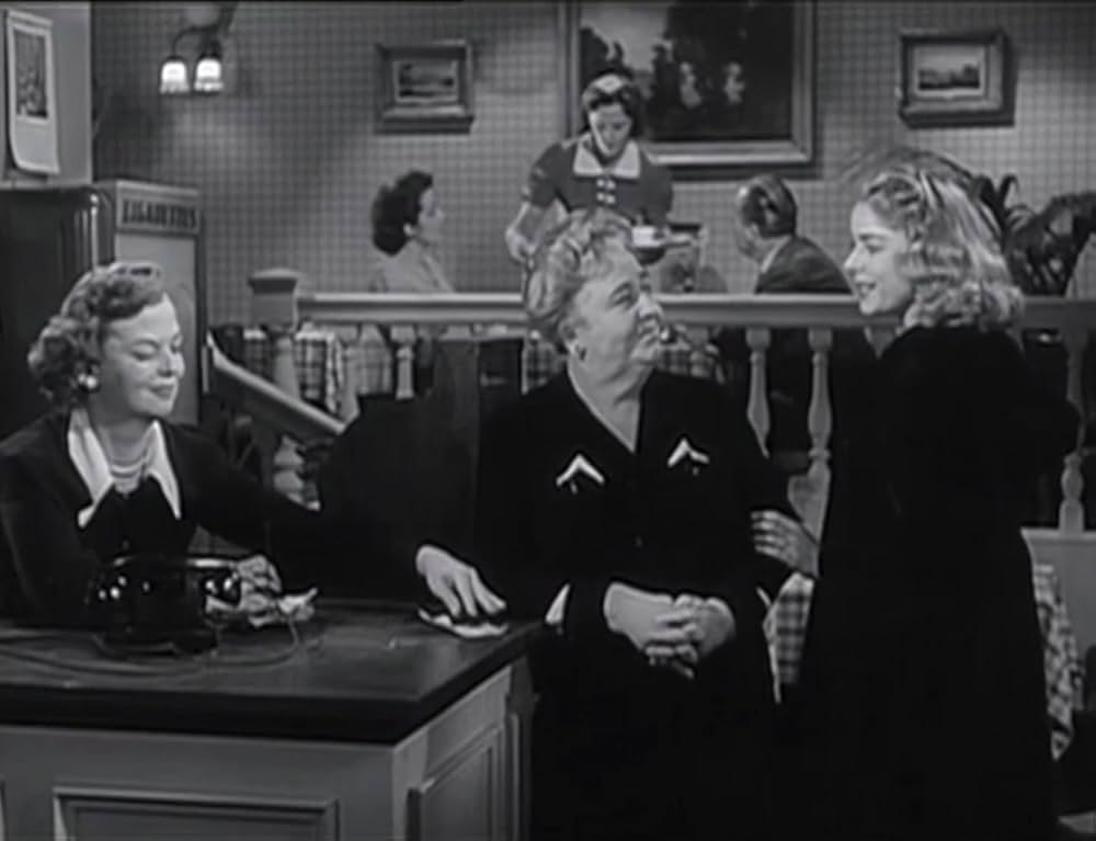 愛情作戦の画像