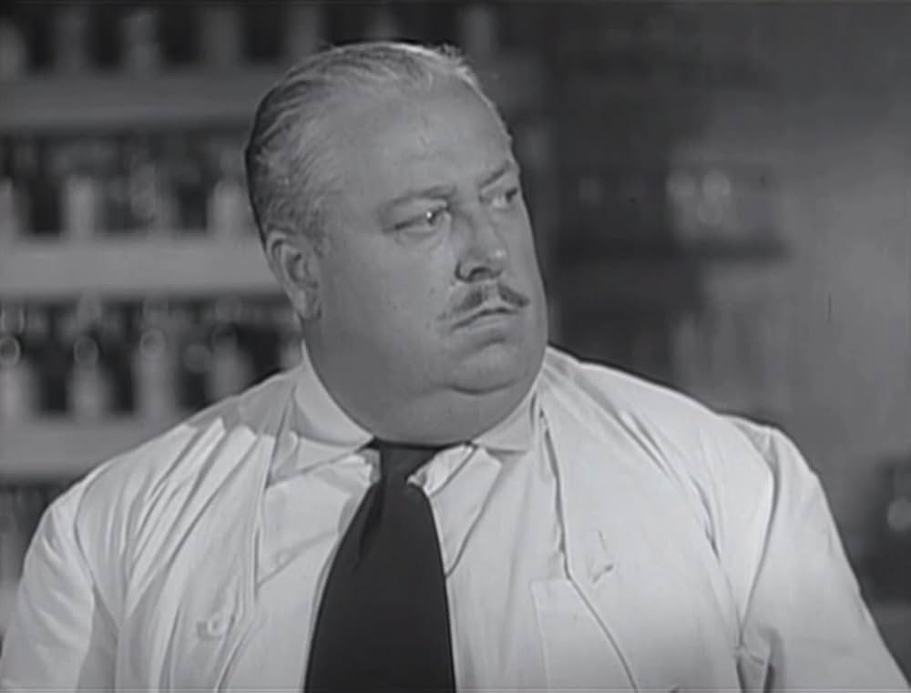 愛情作戦の画像