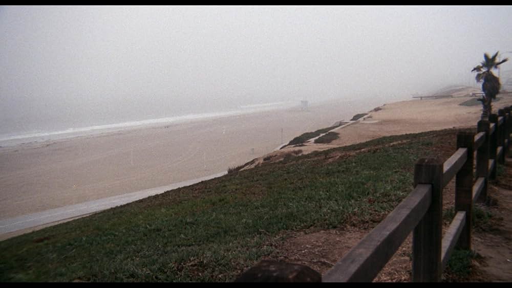 ライフガードの画像