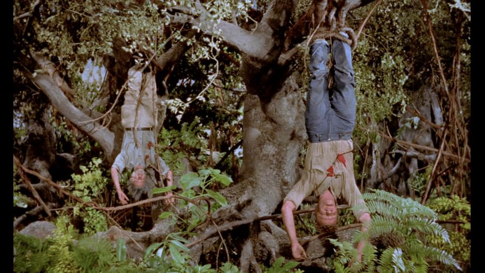 アマゾンの秘宝の画像