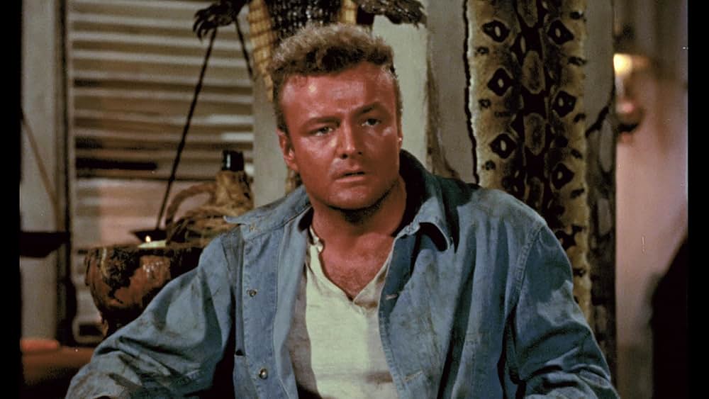 アマゾンの秘宝の画像