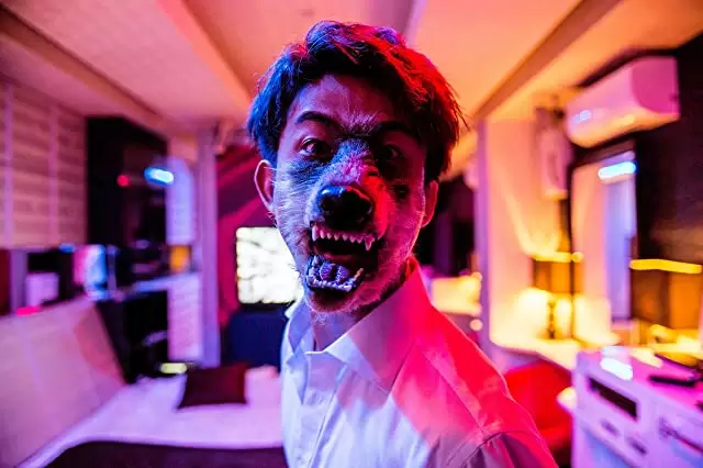 バードソングの画像