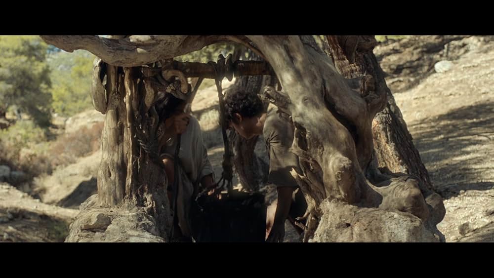 The Carpenter's Son（原題）の画像