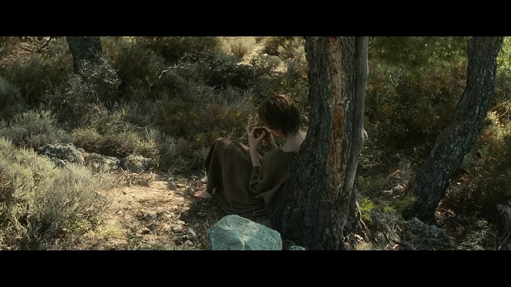 The Carpenter's Son（原題）の画像