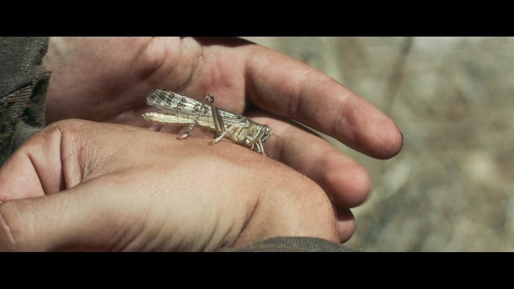 The Carpenter's Son（原題）の画像