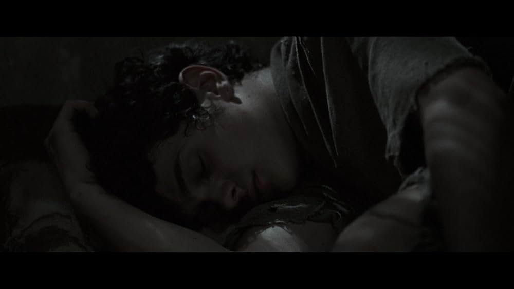 The Carpenter's Son（原題）の画像