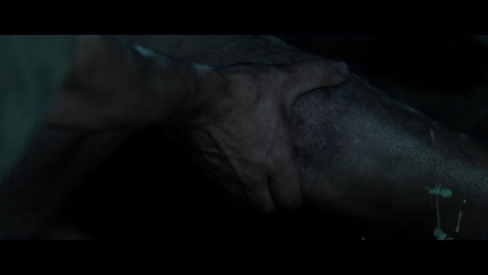 The Carpenter's Son（原題）の画像