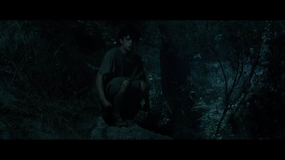 The Carpenter's Son（原題）の画像