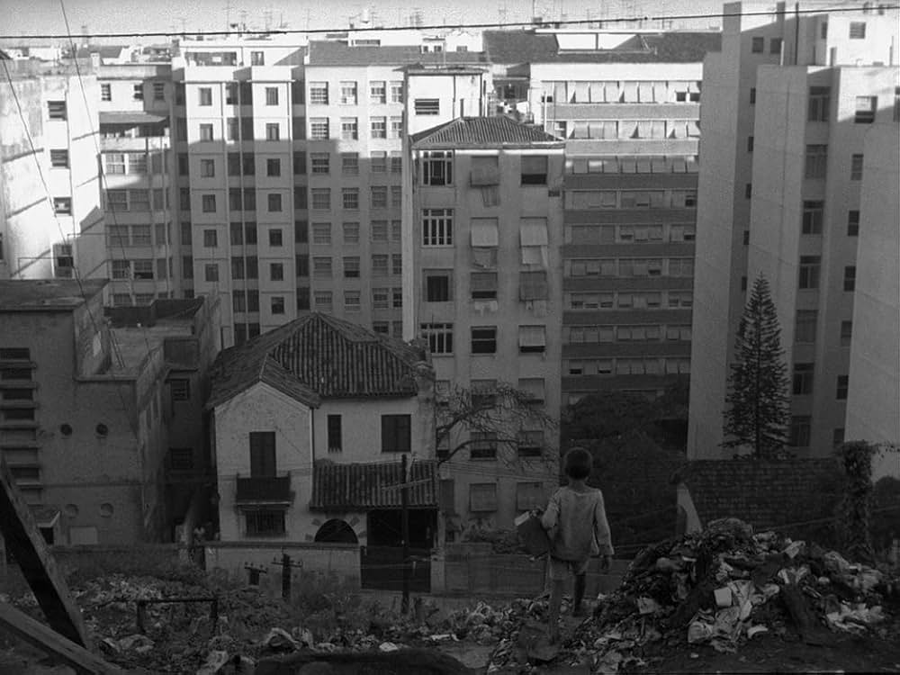 キャットスキンの画像