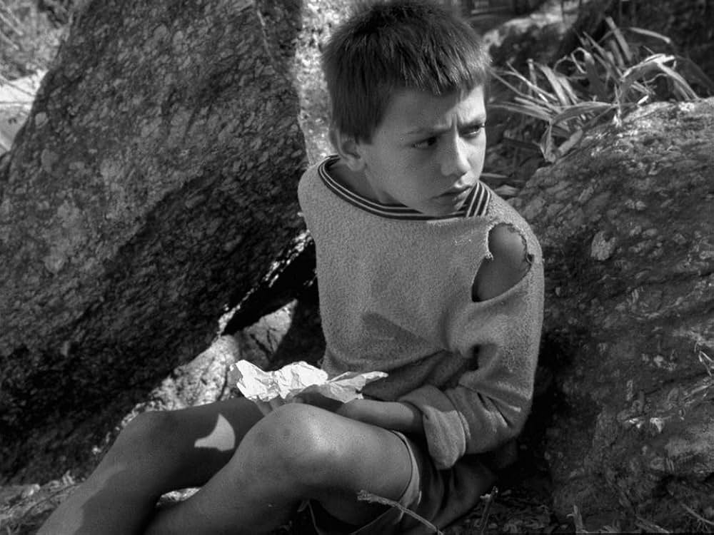 キャットスキンの画像