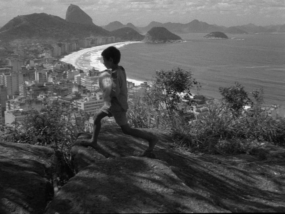 キャットスキンの画像