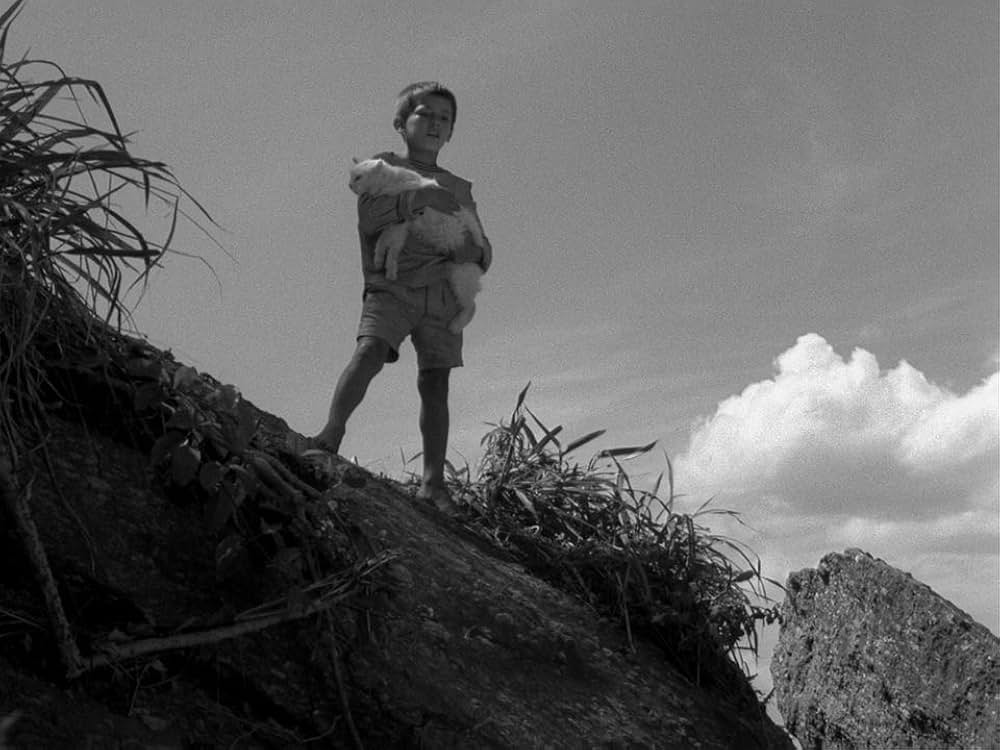 キャットスキンの画像