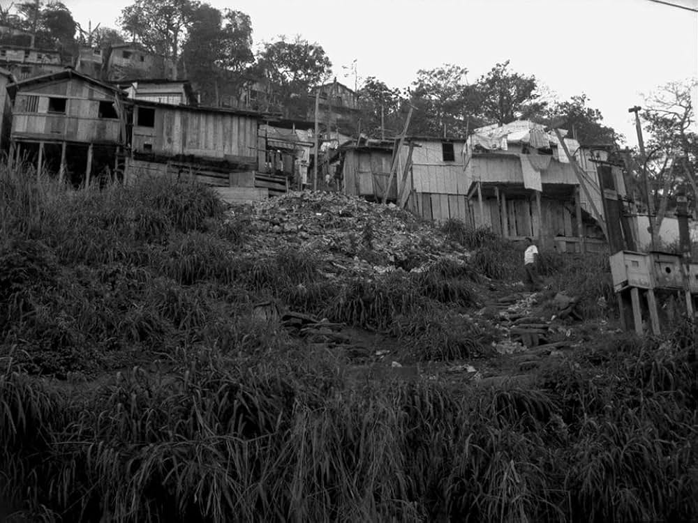 キャットスキンの画像