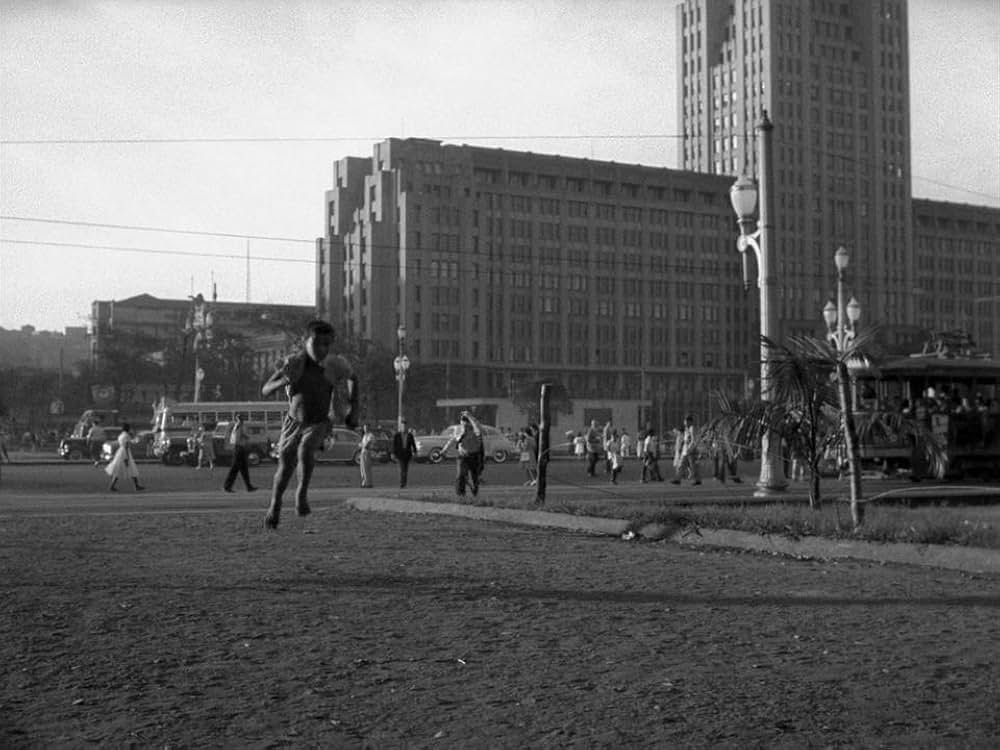 キャットスキンの画像