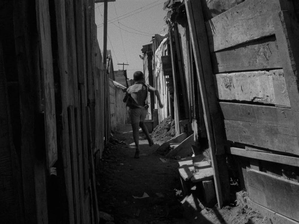 キャットスキンの画像