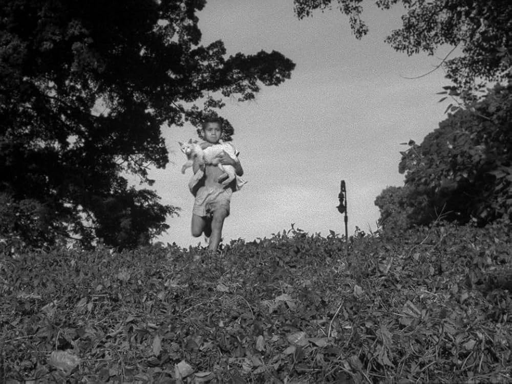 キャットスキンの画像