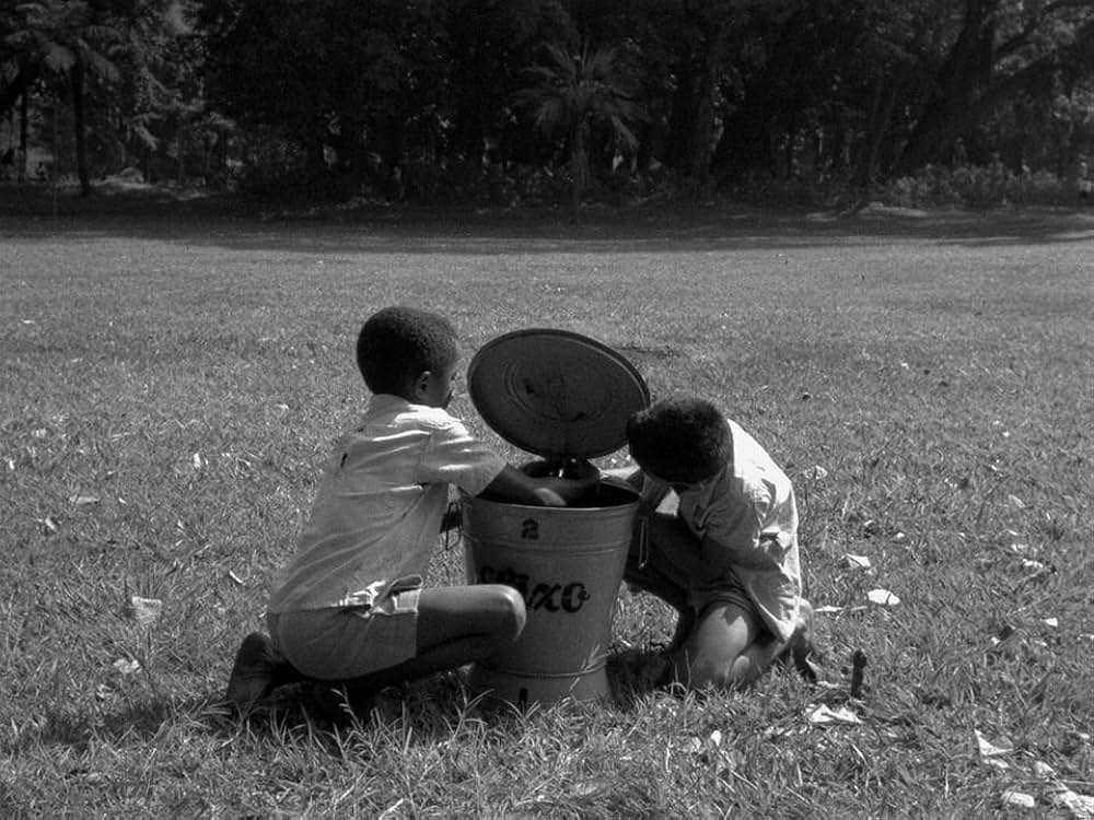 キャットスキンの画像