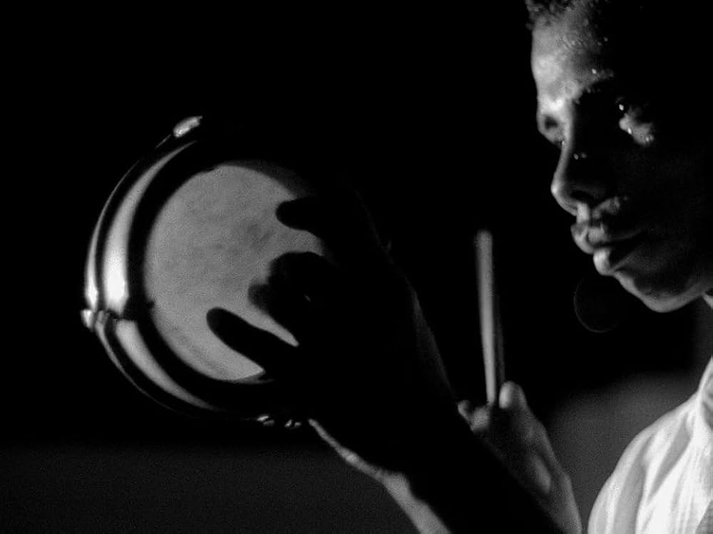 キャットスキンの写真