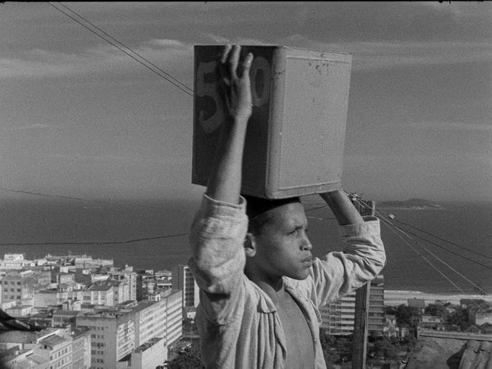 キャットスキンの画像