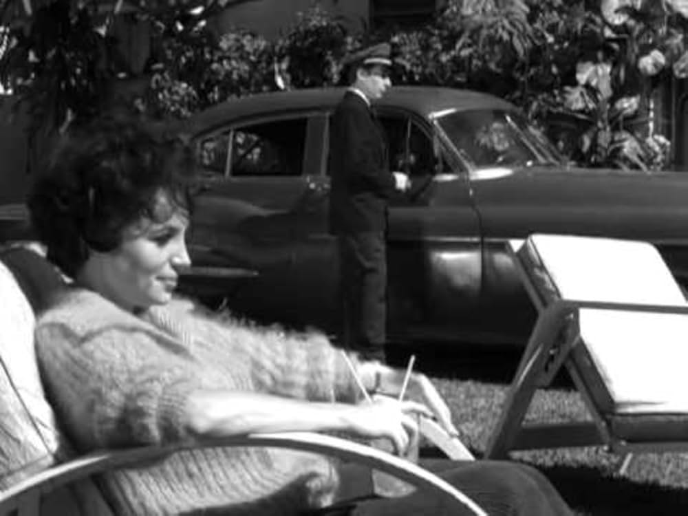 キャットスキンの画像