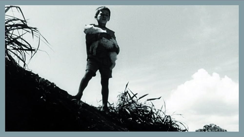 キャットスキンの画像