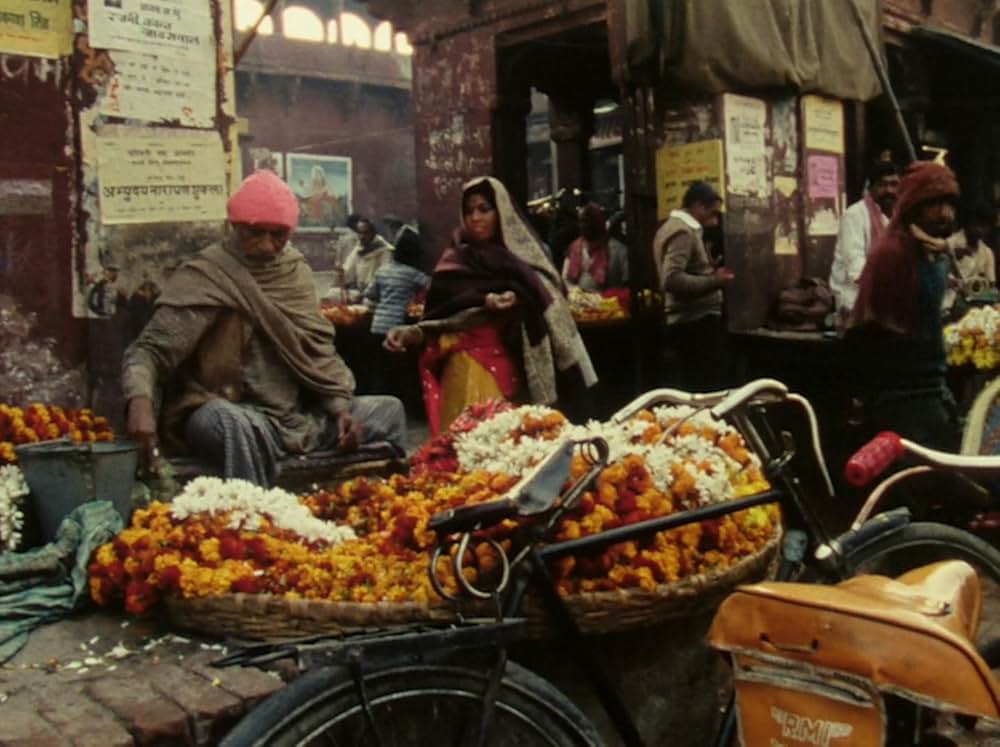 Forest of Bliss（原題）の画像